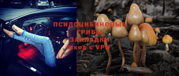ALPHA-PVP Алексин
